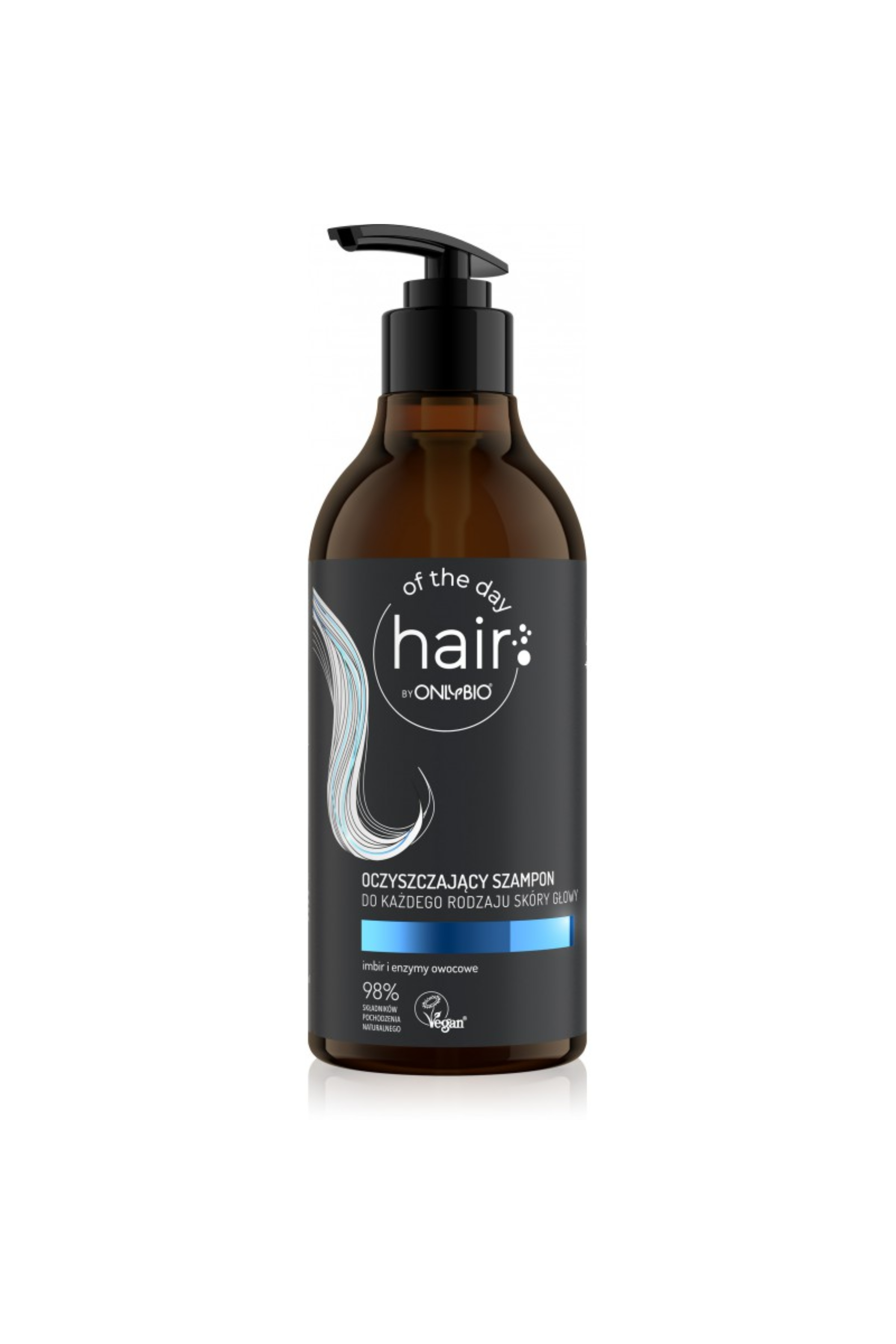 HAIR OF THE DAY SCALP SCIMULATING BOSTER 100ML