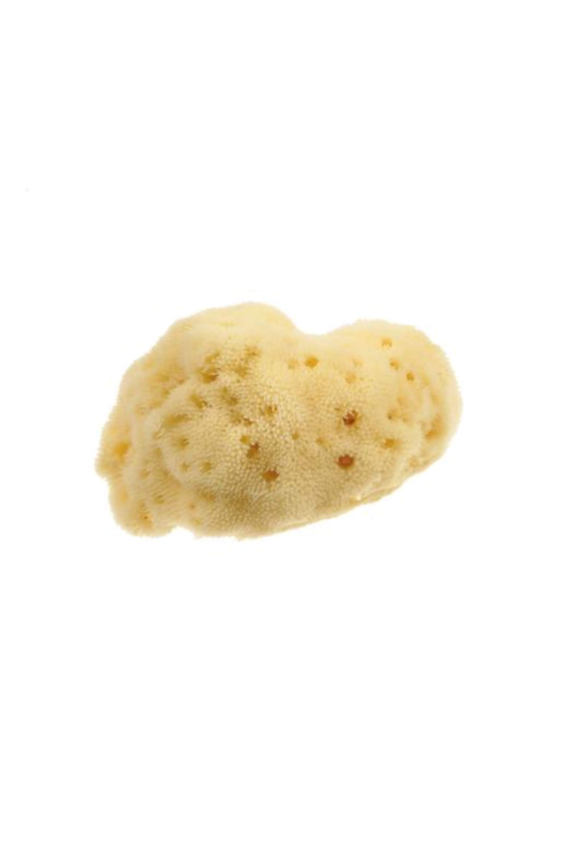 BEAUTYTIME 332 NATURAL SPONGE
